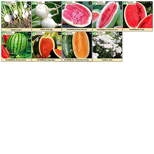 Survival Essentials 144 Variety Ultimate Heirloom Seed Vault