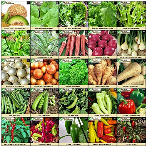 Survival Essentials 144 Variety Ultimate Heirloom Seed Vault