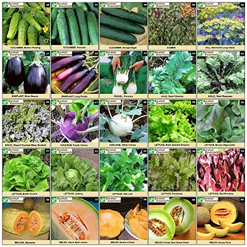 Survival Essentials 144 Variety Ultimate Heirloom Seed Vault