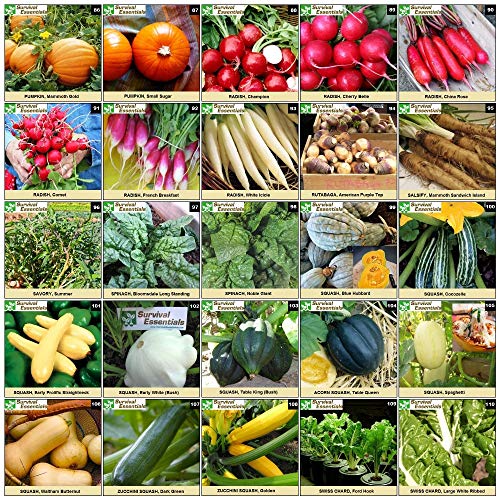 Survival Essentials 144 Variety Ultimate Heirloom Seed Vault