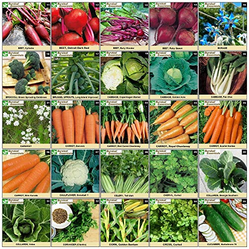 Survival Essentials 144 Variety Ultimate Heirloom Seed Vault